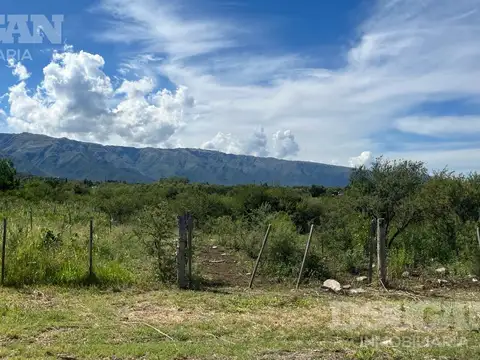 Damas Mendocinas