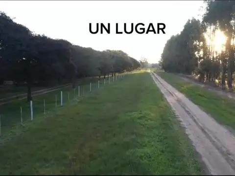 Lotes en venta, desarrollo próximo al Aeropuerto de Concordi