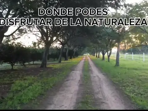 Manuel De Bordagaray 100