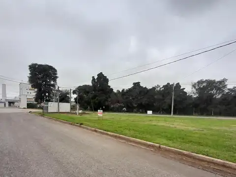 Terreno en Bella Italia