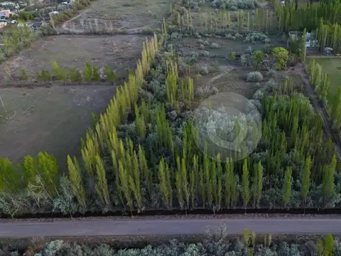 Chacra 3 Héctareas en Cipolletti (APTO DESARROLLO LOTEO SOCIAL) con casa y departamentos