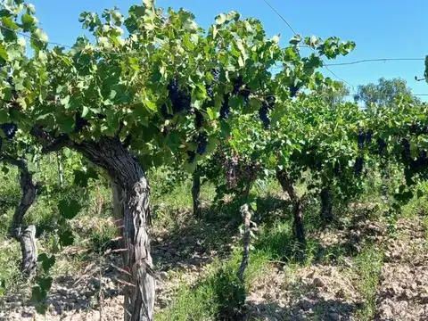 Ruta Provincial 24 100