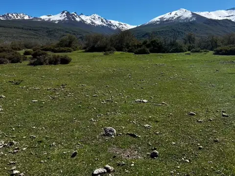 Campo en la Patagonia Argentina