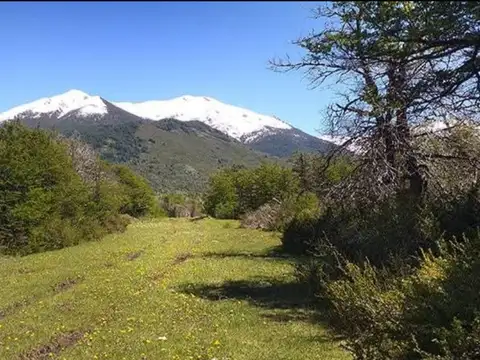 Campo en la Patagonia Argentina
