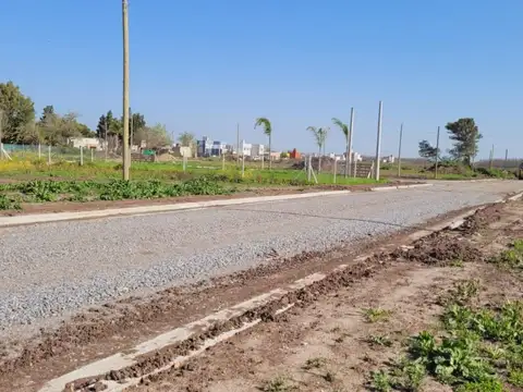 Terreno en Venta de 356,0 m2