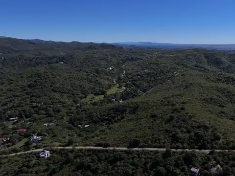 Camino De Los Pioneros 100