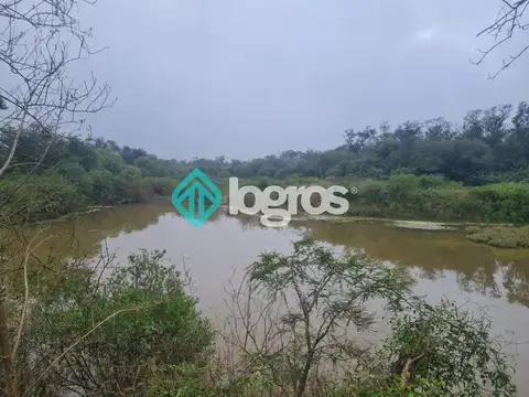 CAMPO EN VENTA 700 HECTÁREAS - EL GALPÓN RN 16 - SALTA