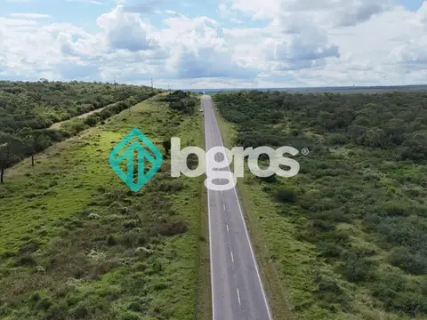CAMPO EN VENTA 700 HECTÁREAS - EL GALPÓN RN 16 - SALTA
