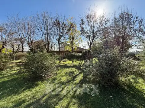 Hotel en Venta en Torres, USD 460.000