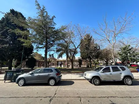 IMPORTANTE LOCAL SOBRE LOTE 10 X 35.5 MTS FRENTE A LA PLAZA