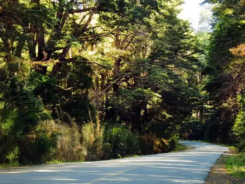 Terreno en Venta en San Carlos De Bariloche, USD 180.000