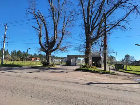 LOTE EN VENTA CARDALES