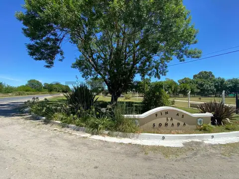 ruta 11 y 653