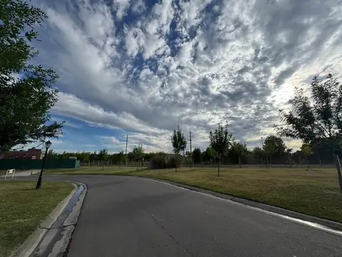 SAN EDUARDO UF 100
