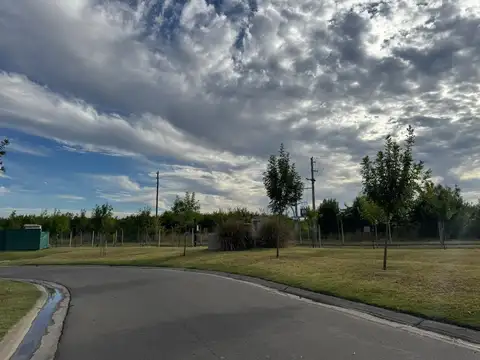 SAN EDUARDO UF 100