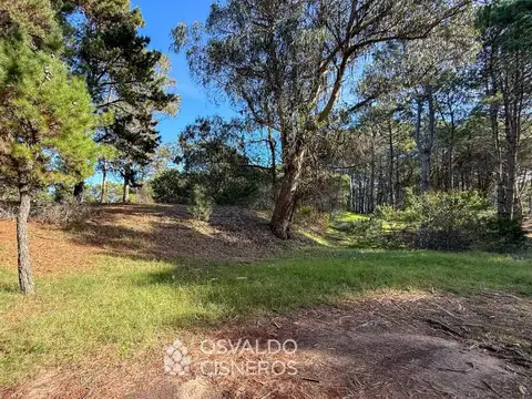 Terreno Multifamiliar En  Mar De Las Pampas