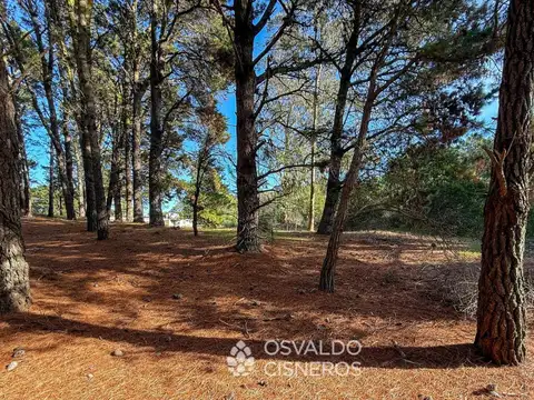 Terreno en Venta de 900,0 m2