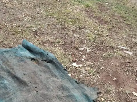 Terreno en Venta 36  mts Fondo