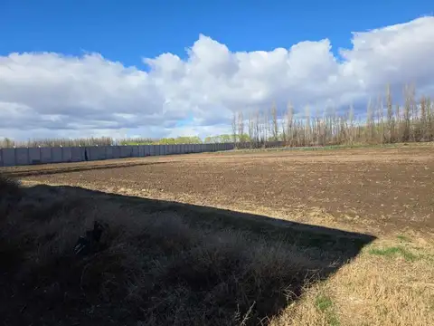 CHACRA DE 5 Has CON FRENTE DE RUTA DEL PETROLEO