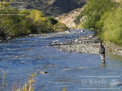 Campo en Venta  486 Has  con costa  del Alto Rio Chubut