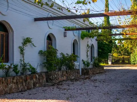 Campo en Piriapolis sobre la ladera del cerro Pan de Azucar