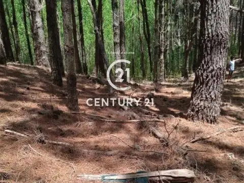 Terreno en Venta en Villarobles, USD 40.000