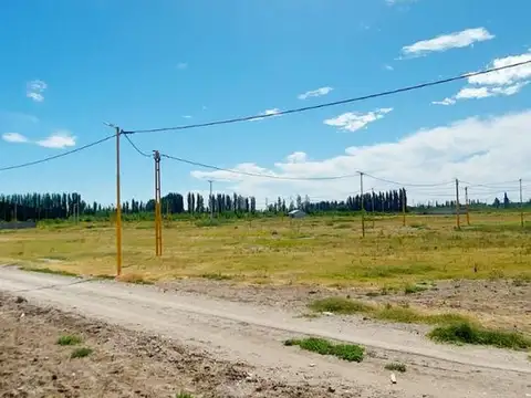 TERRENO EN VENTA EN LOTEO LA RUFINA I EN CERVANTES