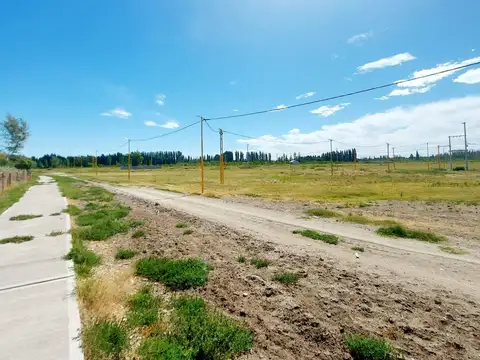 TERRENO EN VENTA EN LOTEO LA RUFINA I EN CERVANTES
