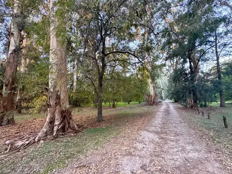 Terreno en venta  en Campos de Roca I
