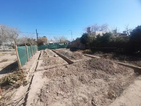 VENTA DE CASA 2 DORMITORIOS EN POZO MAIPU MENDOZA