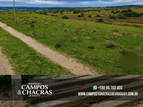 Campo en Venta de 22  ha