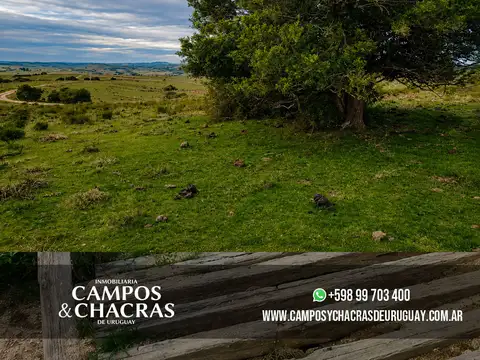 Campo en Venta de 22  ha