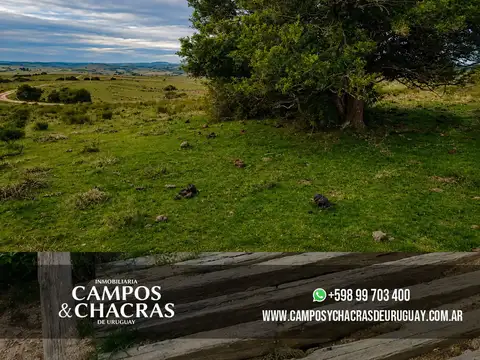 Camino Sierras de Garzón/ Camino Los Nietos, Maldonado, Uruguay.