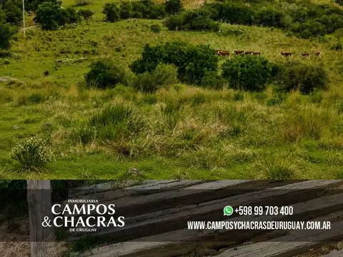 Camino Sierras de Garzón/ Camino Los Nietos, Maldonado, Uruguay.