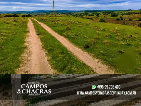 Campo en Venta Ganadero