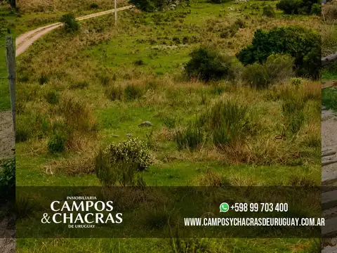 Campo en venta de 22 hectáreas en el entorno privilegiado de Pueblo Garzón, departamento de Maldonado, Uruguay.
