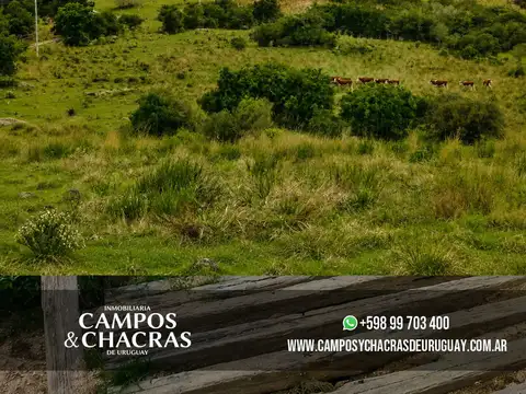 Campo en Venta de 22  ha