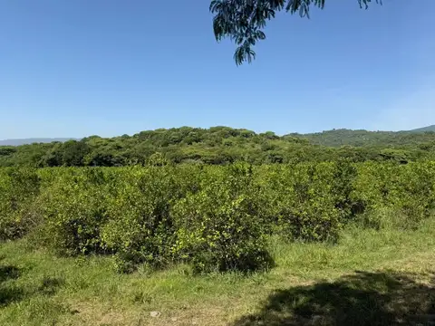 Camino Rural Vecinal 100