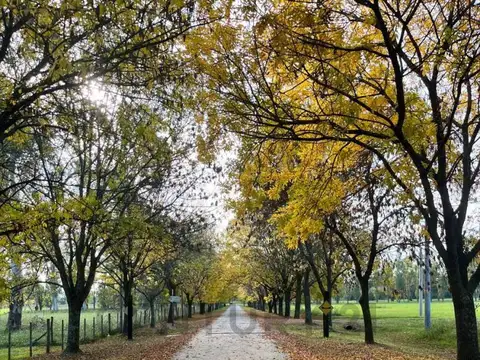 Lotes en Brandsen desde USD 22.000 - Financiación flexible