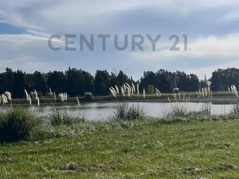 Lotes en Brandsen desde USD 22.000 - Financiación flexible