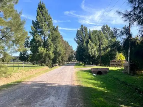 Terreno en Venta de 1692,88 m2