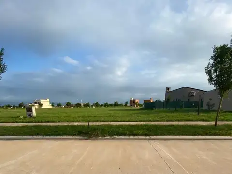 Hilario Valinotti 4300