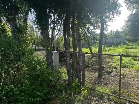 VERTIENTES DE LA GRANJA 100