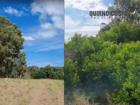 Campo en venta con frente al Mar en Tres Arroyos 135,7 ha