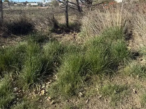 Terreno en Venta de 2466,0 m2
