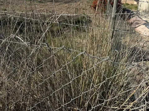 VENTA DE TERRENO EN CALLE SIMONE DE PLOTTIER