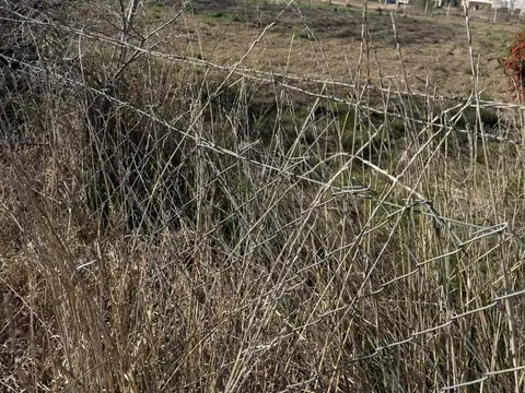 Terreno en Venta de 2466,0 m2
