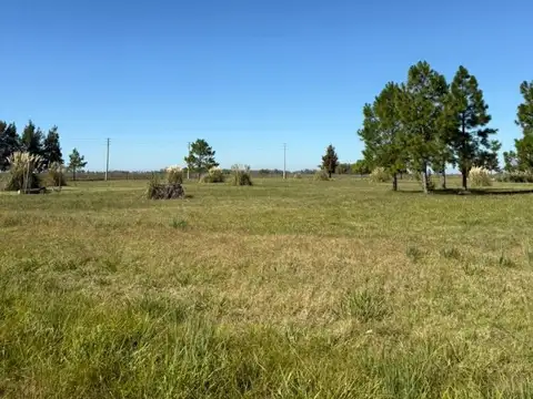 Campo en Venta de 95  ha