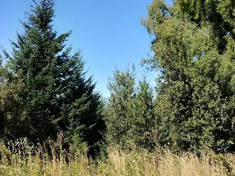 Lote  en Venta en Las Nalcas, San Martin de los Andes, Patagonia