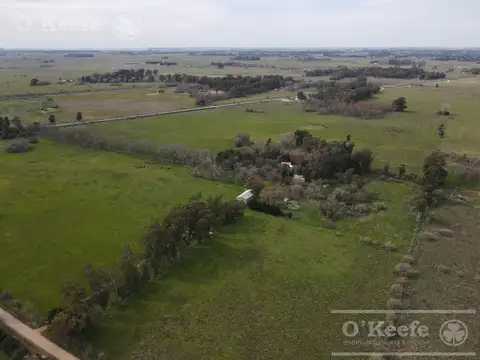 Chacra en venta en Brandsen 42 has -  70% Agricola - Sobre Ruta 210